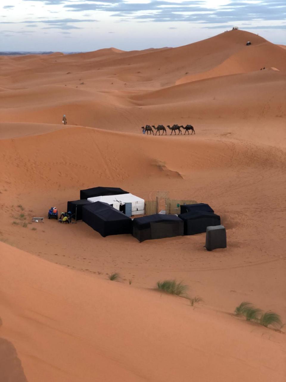 Отель Sahara Camel Tours Camp Мерзуга Экстерьер фото
